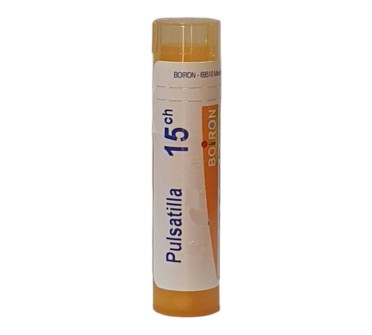 PULSATILLA 15 CH